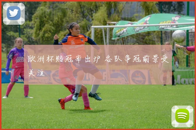 欧洲杯赔冠率出炉 各队争冠前景受关注