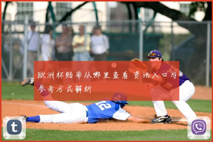欧洲杯赔率从哪里查看 资讯入口与参考方式解析