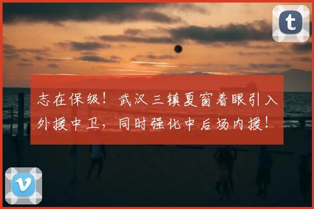 志在保级！武汉三镇夏窗着眼引入外援中卫，同时强化中后场内援！_防守_本赛季_阵容