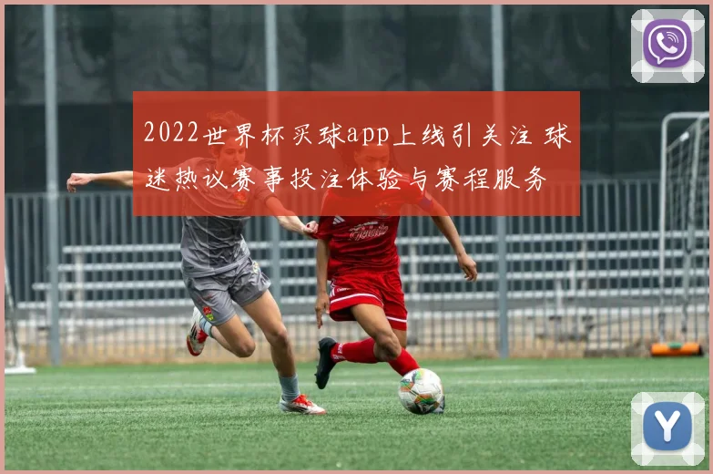 2022世界杯买球app上线引关注 球迷热议赛事投注体验与赛程服务