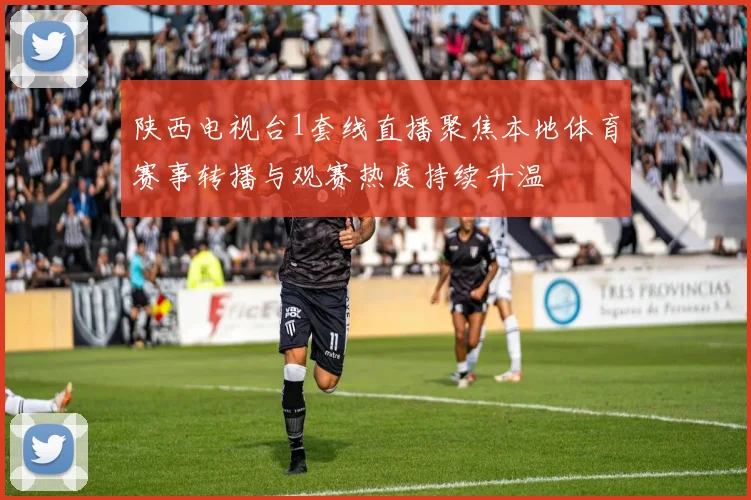 陕西电视台1套线直播聚焦本地体育赛事转播与观赛热度持续升温